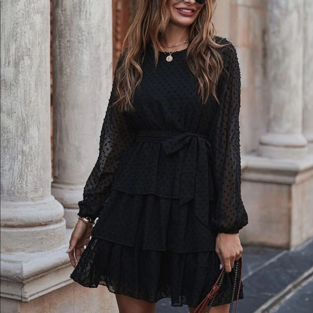 Black Swiss dot ruffle belted mini dress - Picture 5 of 7